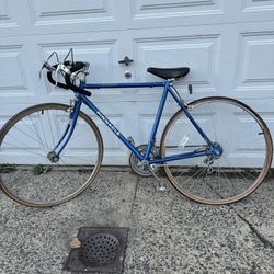 Pinnacle 12 Speed Free Spirit Bicycle - made in Korea🇰🇷