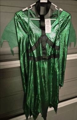 Women's green dragon 🐉 Halloween Costume