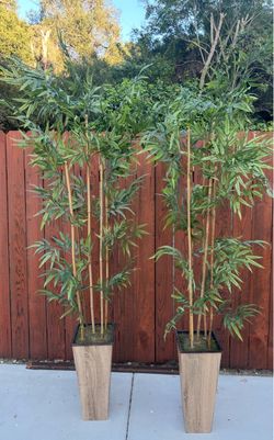 Tall Artificial Bamboo Trees in Planters – Set of 2
