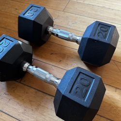 Two 20 pound hand weights hexagon