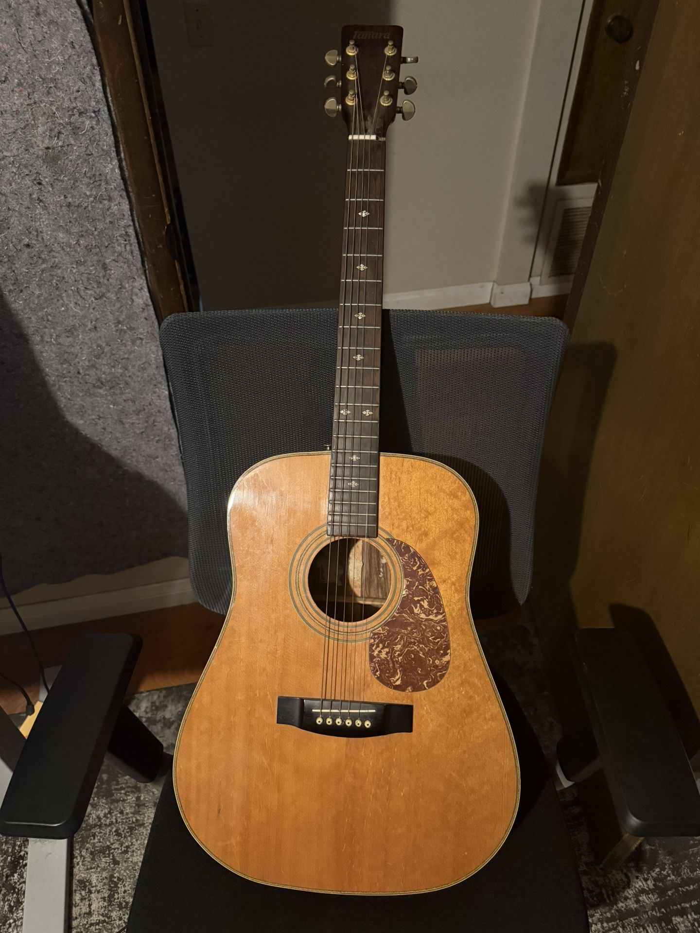 Acoustic Guitar