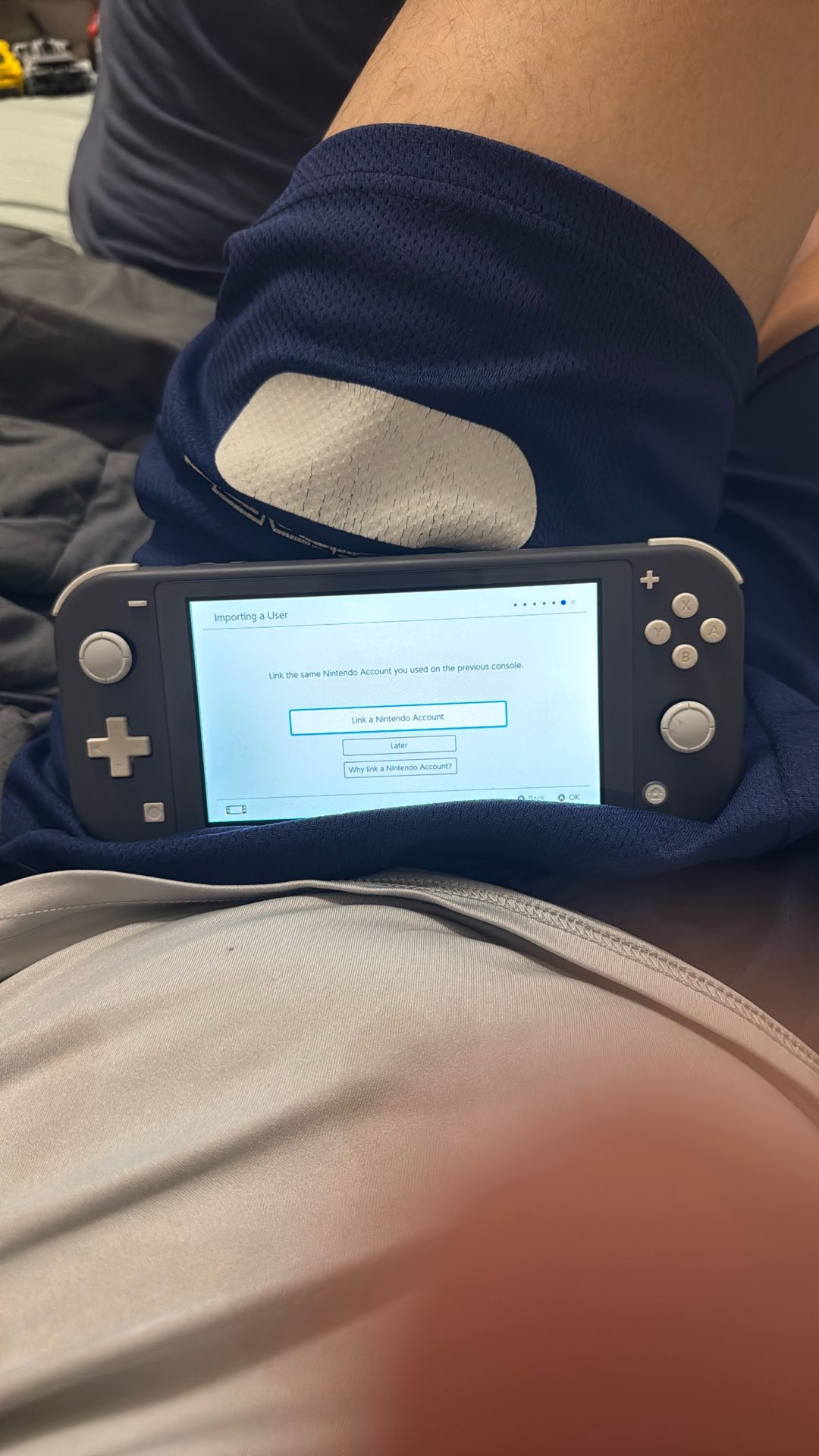 Nintendo Switch Lite