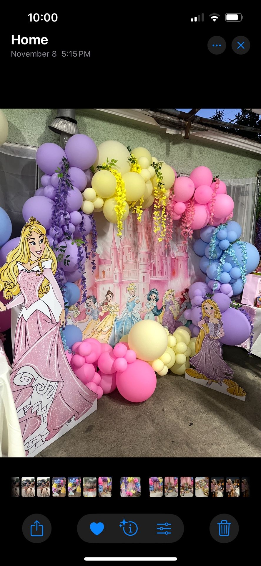 Disney Princess Circle Backdrop Cover