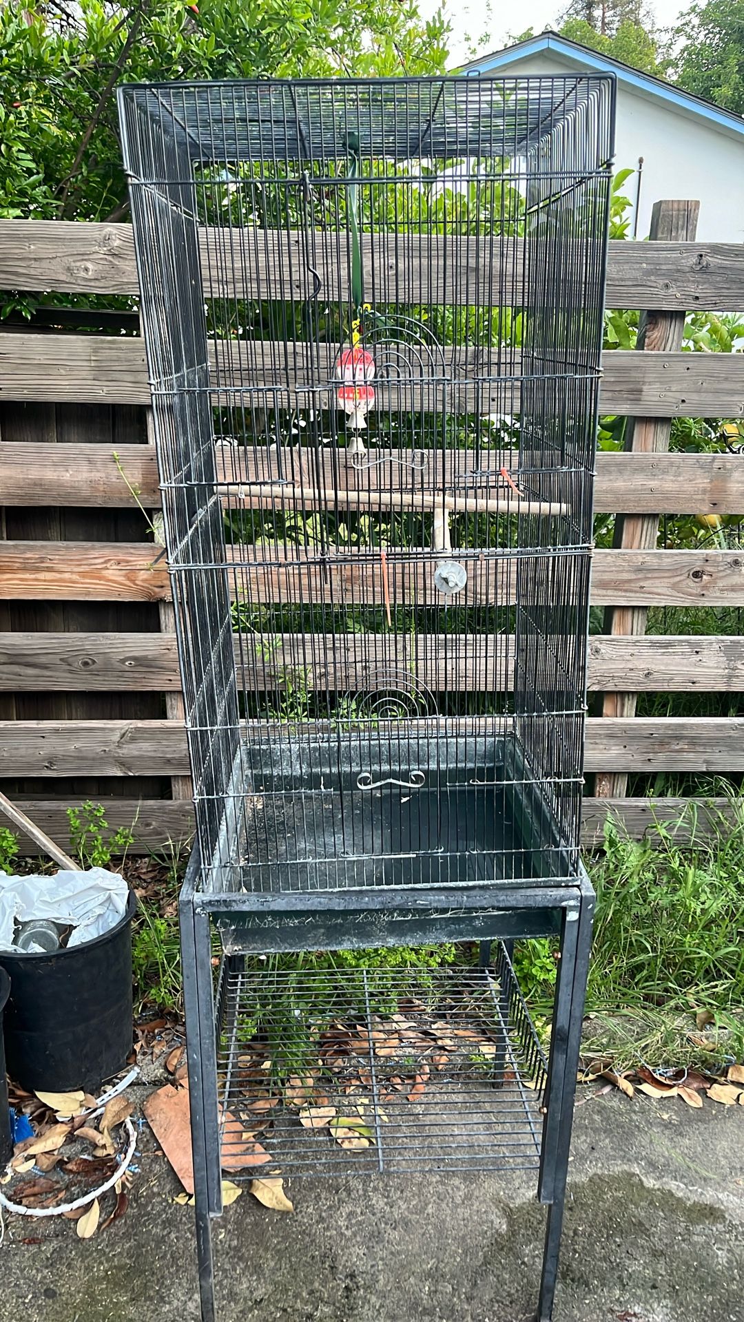 Bird Cage