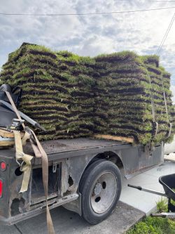 Fresh St. Augustine Palmetto Sod – Delivery Available