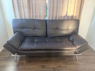 Futon sofa bed from Costco