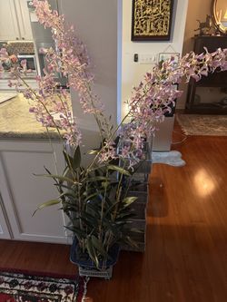Beautiful artificial Dendrobium orchid arrangement approximately 5 feet tall at its highest point this is a stunning and very unusual piece you are no