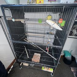 Flight Bird Cage