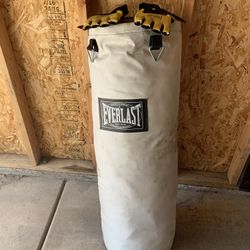 Punching Bag