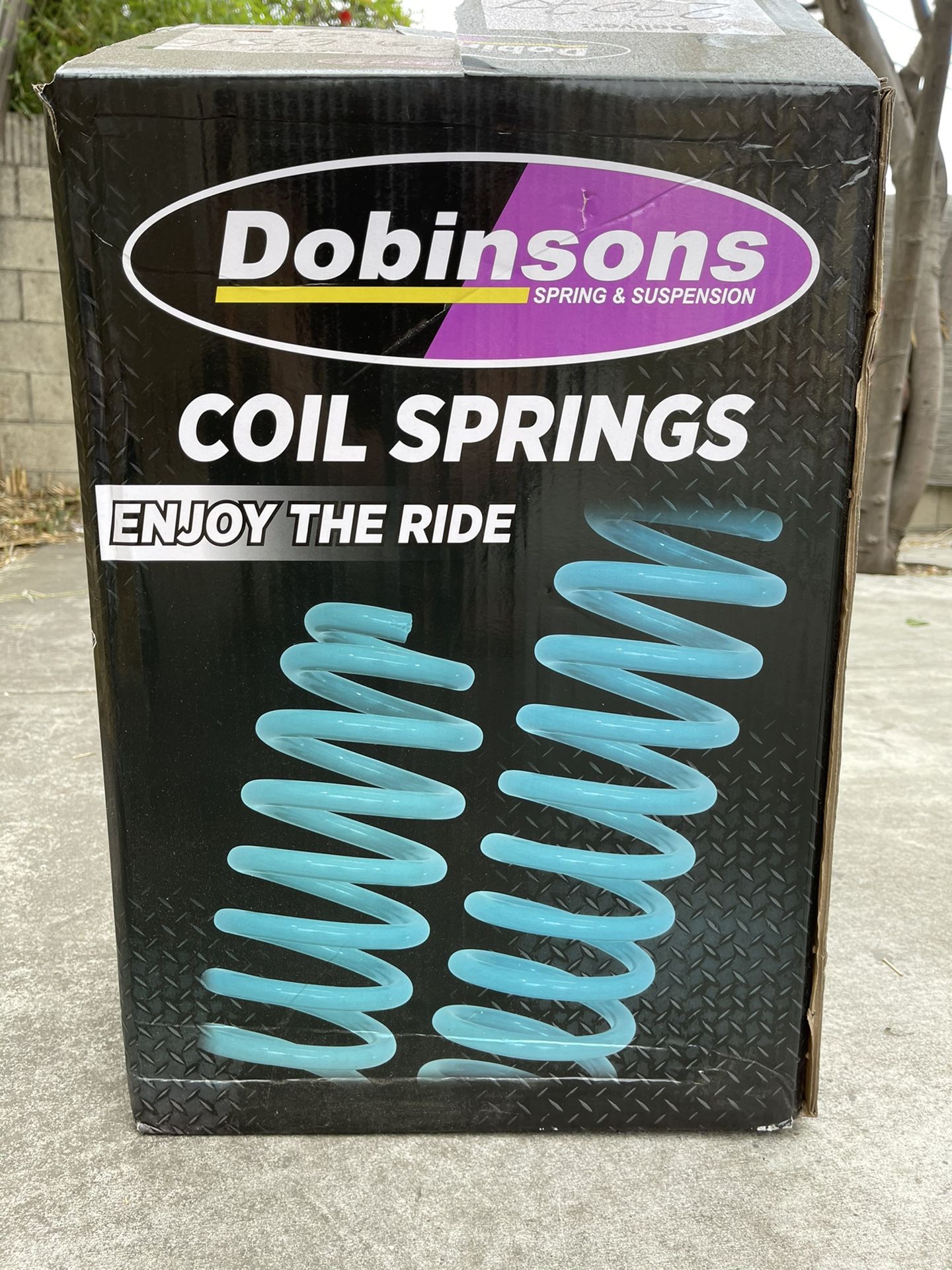 Dobinsons Rear Coil Springs C59-675V
