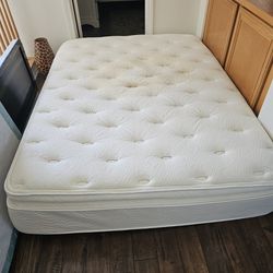 Queen Matress And Spring Box Free