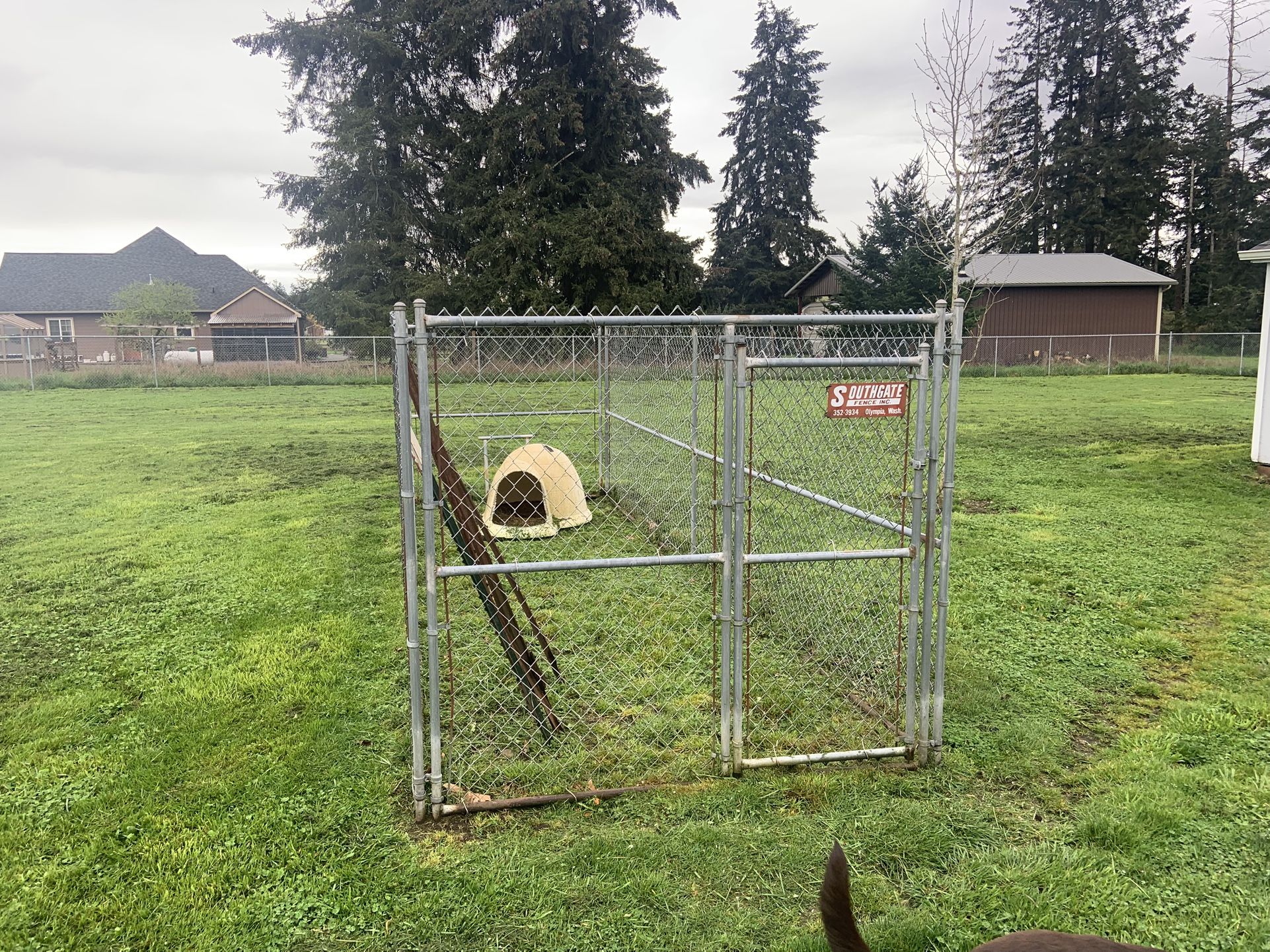 Dog Kennel Southgate