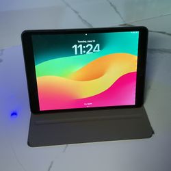 iPad Pro 