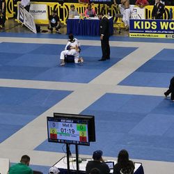 Jiu Jitsu / MMA /wrestling Mats– Gym Quality (8 Mats)