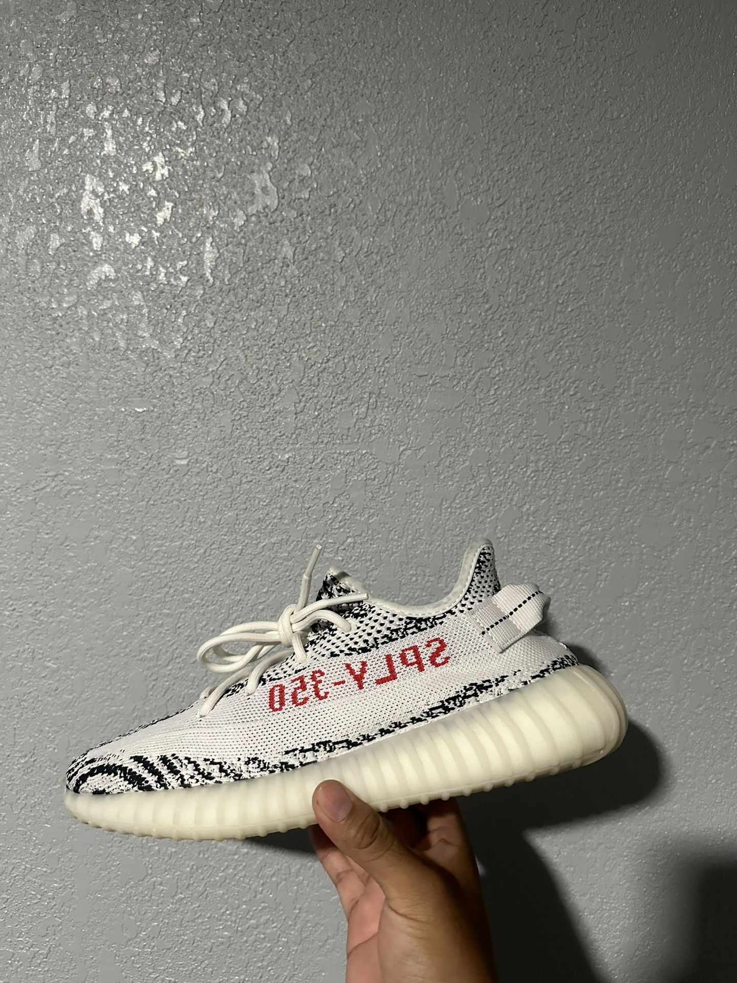 Yeezy Zebra 350