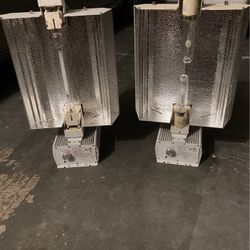 grow light 1000W