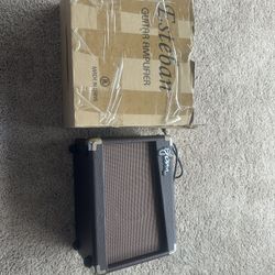 Esteban Guitar Amplifier Never Used