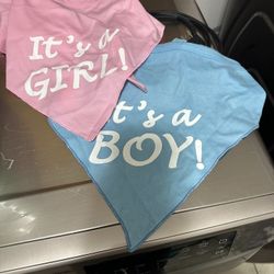 Gender Reveal Dog Bandanas 