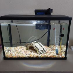 Fish Tank 