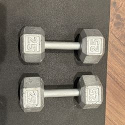 25 Pound Dumbbells 
