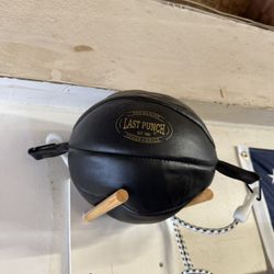 Speed  Bag Punching Bag
