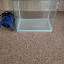 Small fish tank and air pump.