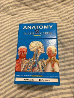 Anatomy Flash Cards