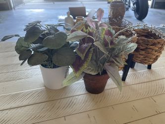 Decor
