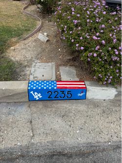 Team curb numbers dodgers x rams x American flag