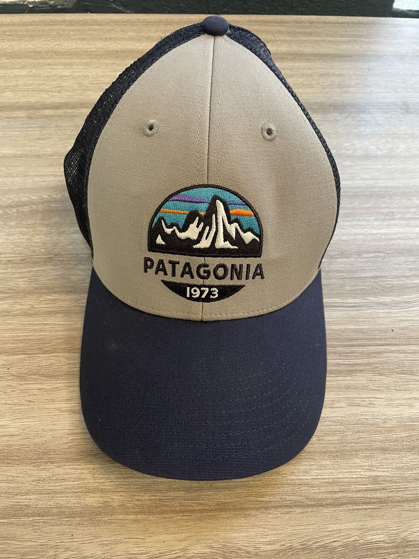 Patagonia Trucker Hat 