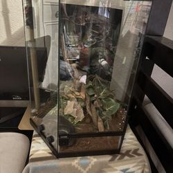 Reptiles Tank