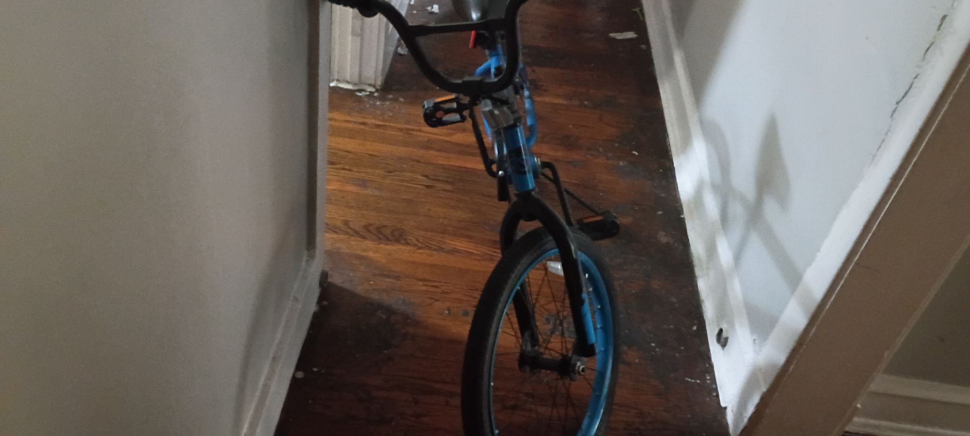 Fearless bike