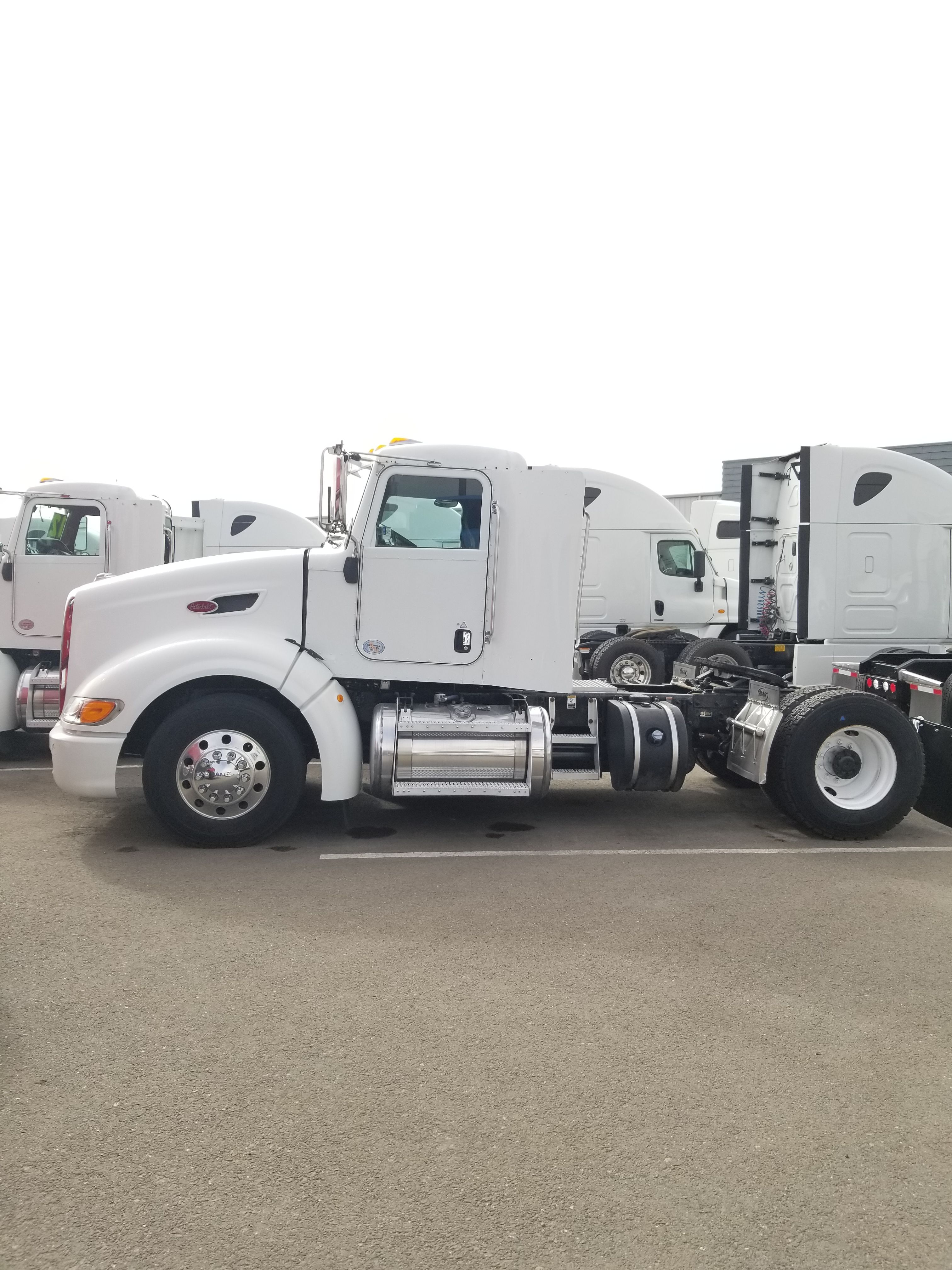 PETERBILT 386 SINGLE AXLE TRUCKS!!