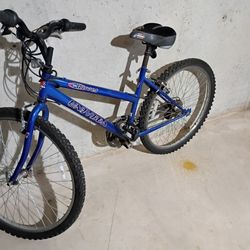 Univega Bicycle