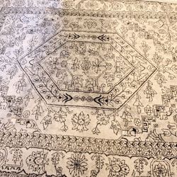 Area Rug - Will Deliver