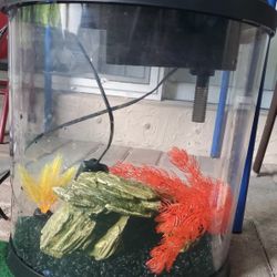 Free 3 Gallon Fish Tank With Food & Decorations