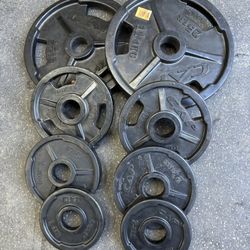  Rubber Olympic Weights 