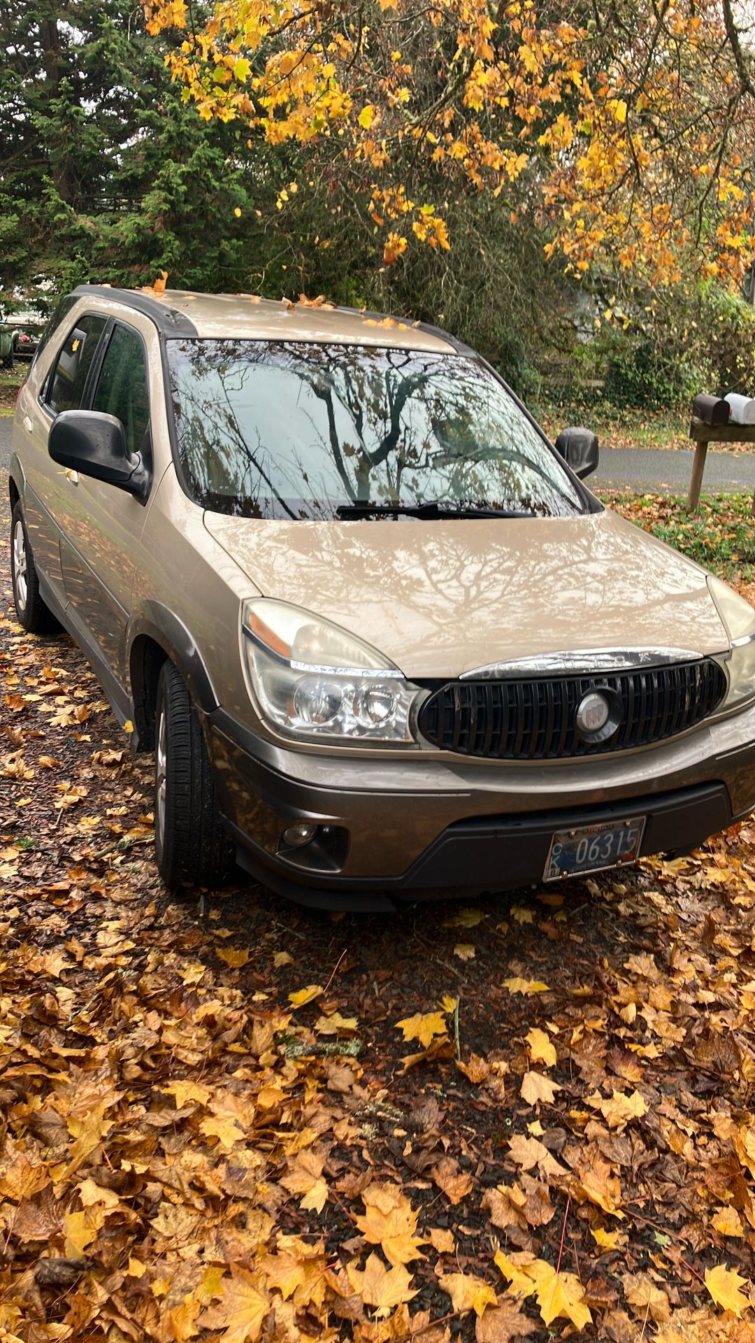 2005 Buick Rendezvous