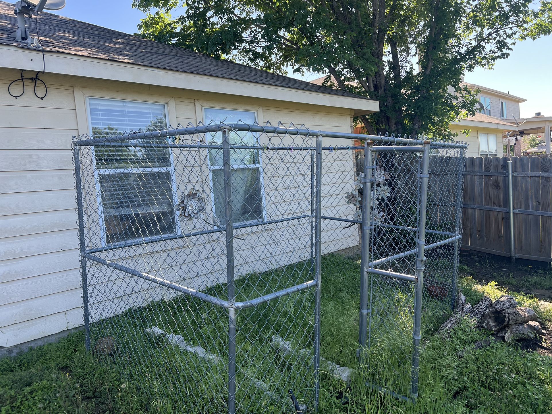 Large Dog Cage