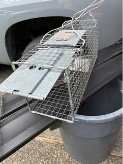 Animal traps