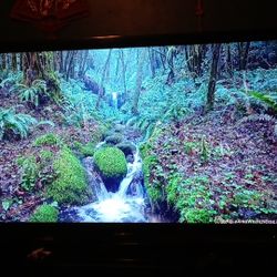 Sharp Aquos Liquid Crystal Tv Lc60e77un 