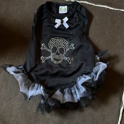Halloween Dress  Dog 🐩 Size M
