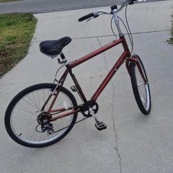 Raleigh Bicycle XL Frame For A Tall Men.