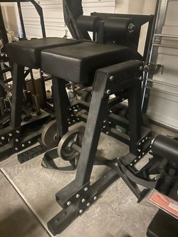 Rogue Fitness Donkey