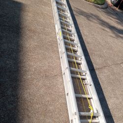24 Ft Ladder 
