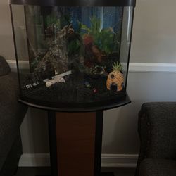 10 Gallon Fish Tank