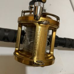 Penn International 12T