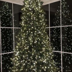 Brand New 9 ft. Jackson Noble Fir LED Pre-Lit Christmas Tree 