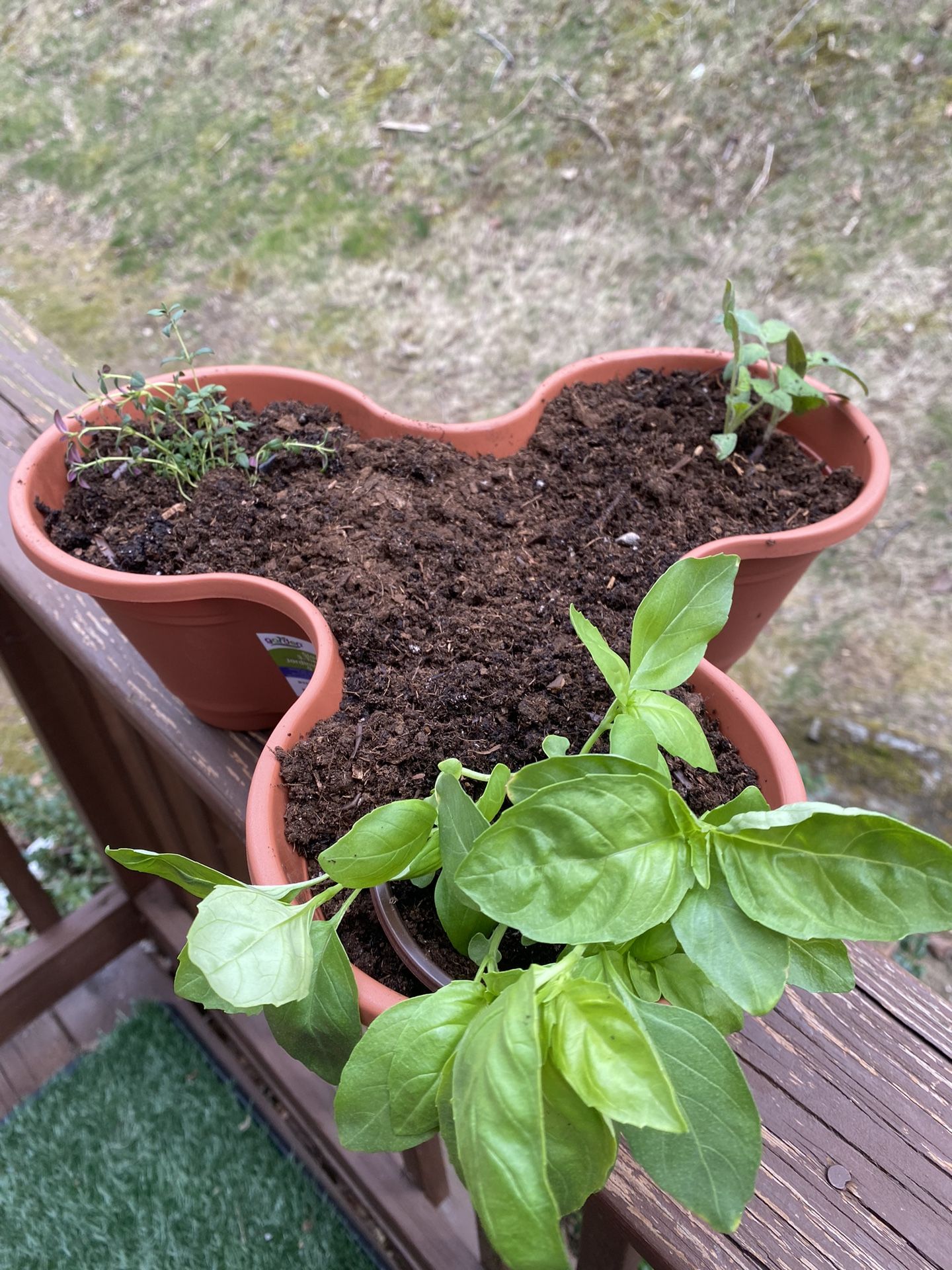 Stackable Herb Or Vegetable Or Flower Pot