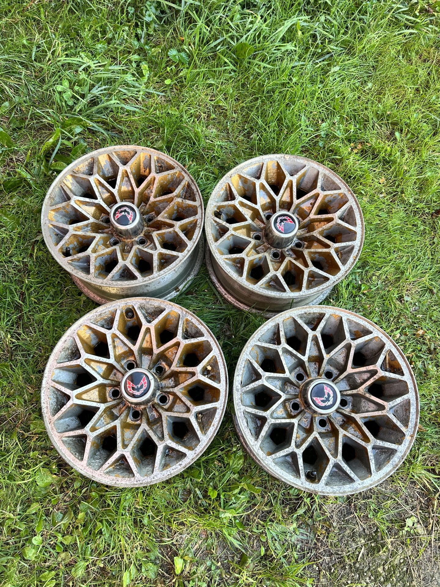15x7 Trans Am Wheels